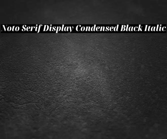 Noto Serif Display Condensed Black Italic Font examples