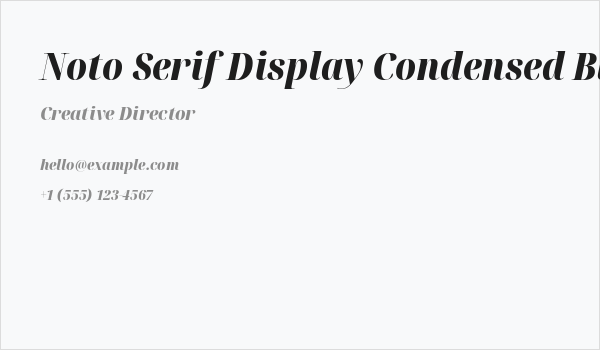Noto Serif Display Condensed Black Italic Business Card