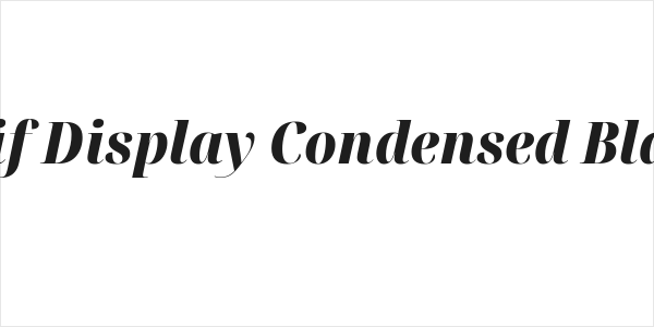 Noto Serif Display Condensed Black Italic Logo