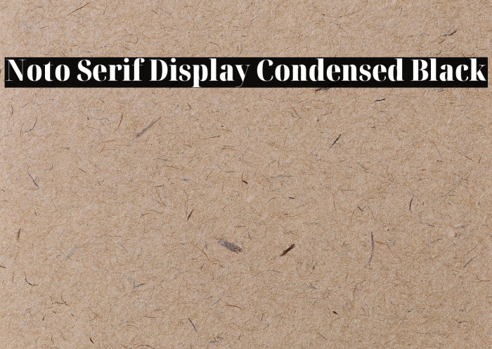 Noto Serif Display Condensed Black Font examples
