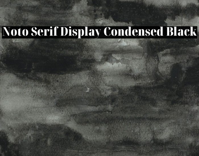 Noto Serif Display Condensed Black Font examples