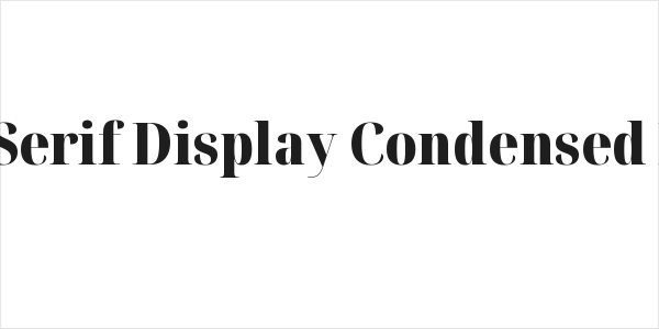 Noto Serif Display Condensed Black Logo