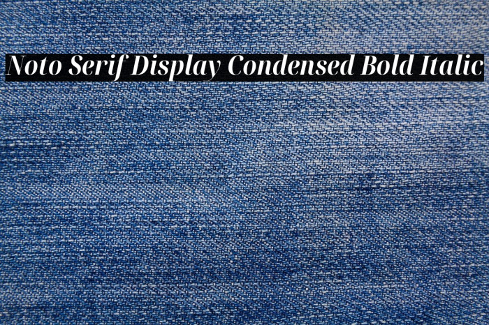 Noto Serif Display Condensed Bold Italic Example 1