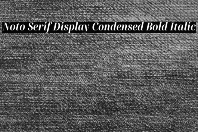 Noto Serif Display Condensed Bold Italic Font examples