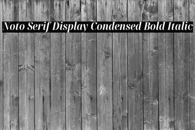 Noto Serif Display Condensed Bold Italic Font examples