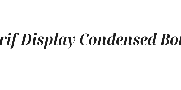 Noto Serif Display Condensed Bold Italic Logo