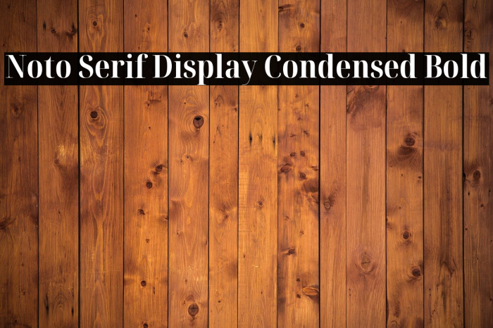 Noto Serif Display Condensed Bold Example 2