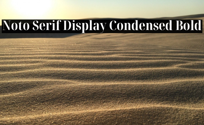 Noto Serif Display Condensed Bold Example 3