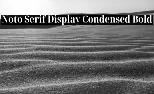 Noto Serif Display Condensed Bold Font examples