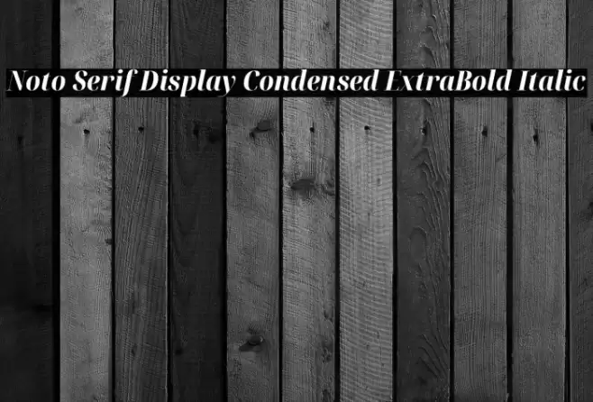 Noto Serif Display Condensed ExtraBold Italic Font examples