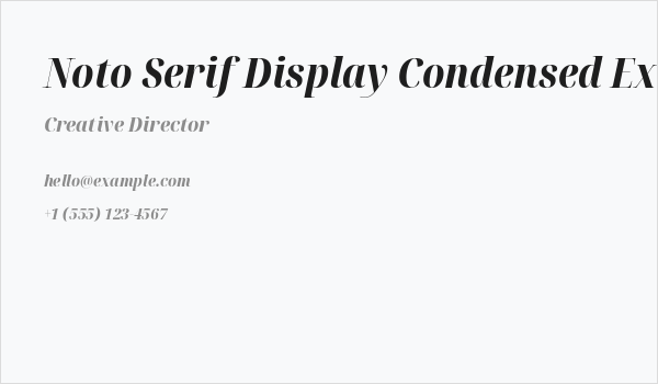 Noto Serif Display Condensed ExtraBold Italic Business Card