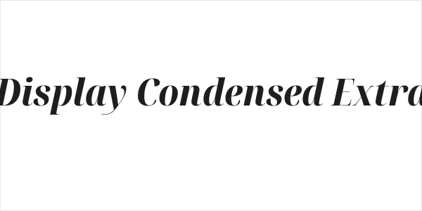 Noto Serif Display Condensed ExtraBold Italic Logo