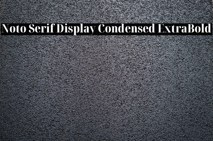 Noto Serif Display Condensed ExtraBold Font examples