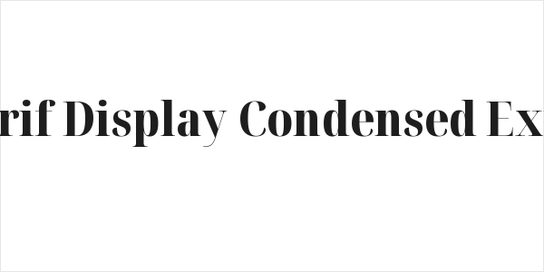 Noto Serif Display Condensed ExtraBold Logo