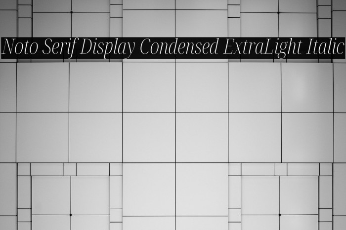 Noto Serif Display Condensed ExtraLight Italic Font examples
