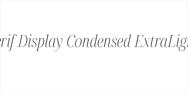 Noto Serif Display Condensed ExtraLight Italic Logo