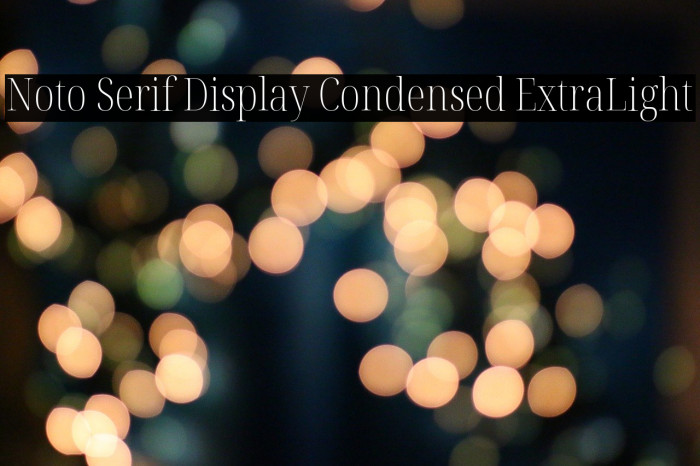 Noto Serif Display Condensed ExtraLight Font examples