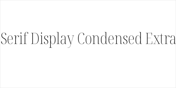 Noto Serif Display Condensed ExtraLight Logo