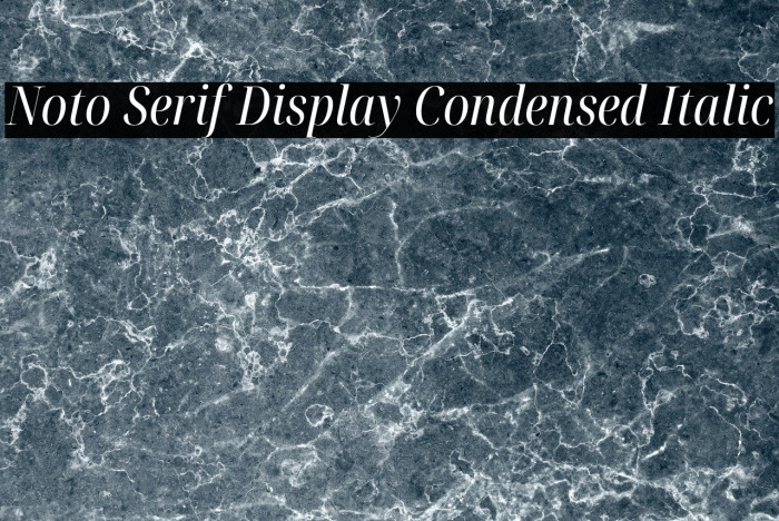 Noto Serif Display Condensed Italic Example 1