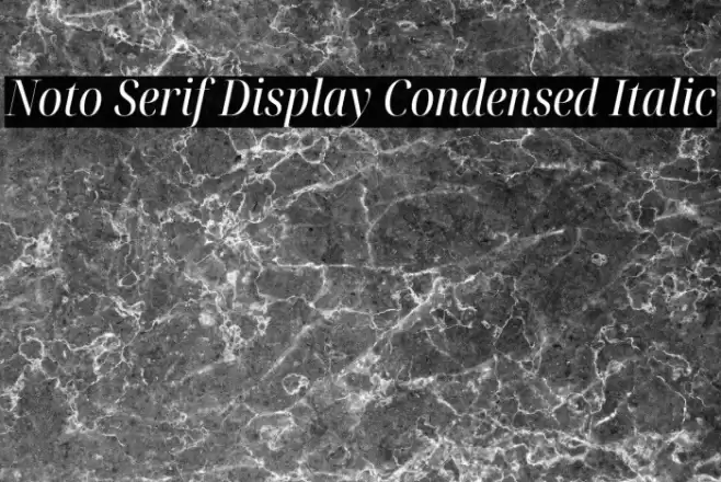 Noto Serif Display Condensed Italic Font examples