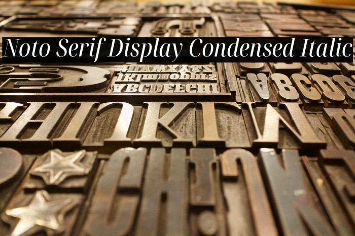 Noto Serif Display Condensed Italic Example 3