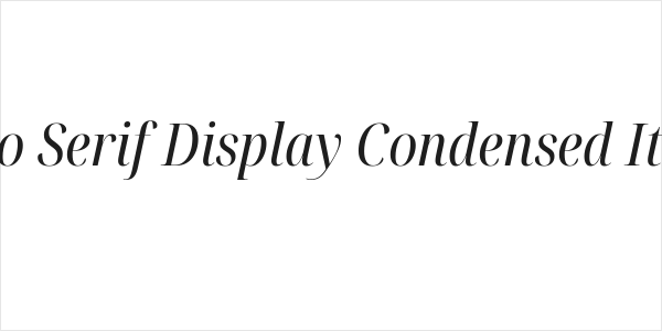 Noto Serif Display Condensed Italic Logo