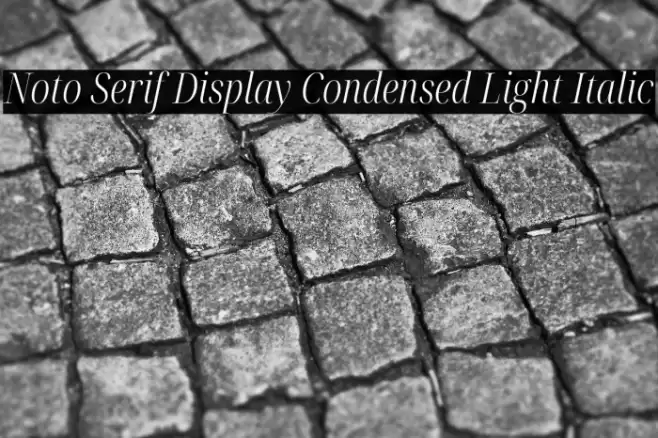 Noto Serif Display Condensed Light Italic Font examples