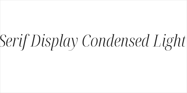 Noto Serif Display Condensed Light Italic Logo
