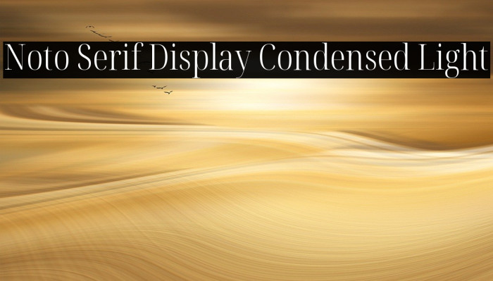 Noto Serif Display Condensed Light Font examples
