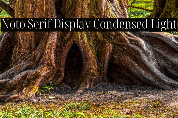 Noto Serif Display Condensed Light Font examples