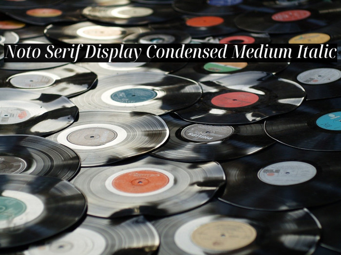 Noto Serif Display Condensed Medium Italic Font examples