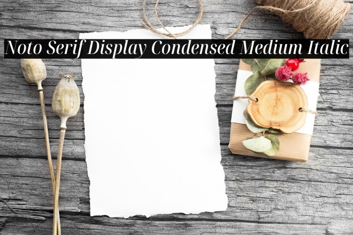 Noto Serif Display Condensed Medium Italic Font examples
