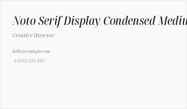 Noto Serif Display Condensed Medium Italic Business Card