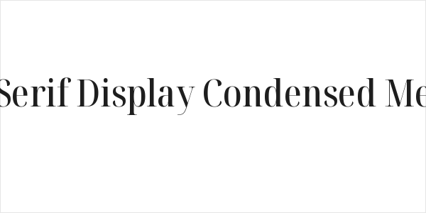 Noto Serif Display Condensed Medium Logo