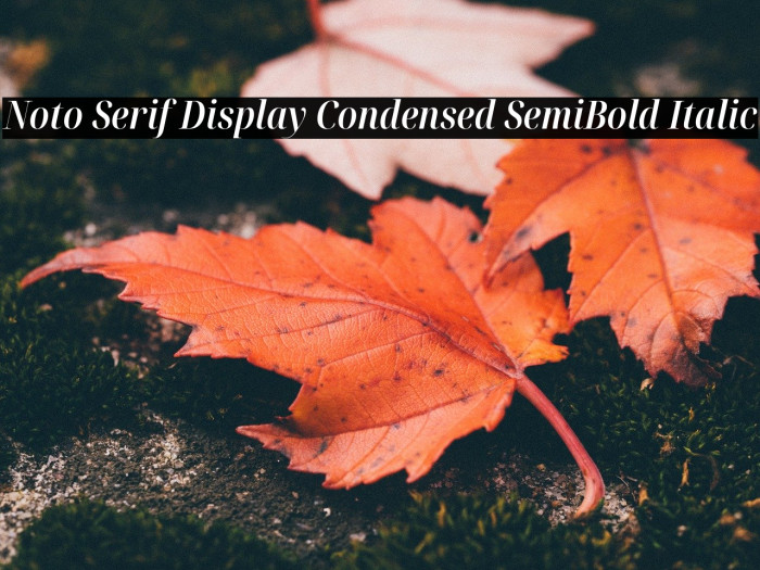 Noto Serif Display Condensed SemiBold Italic Font examples