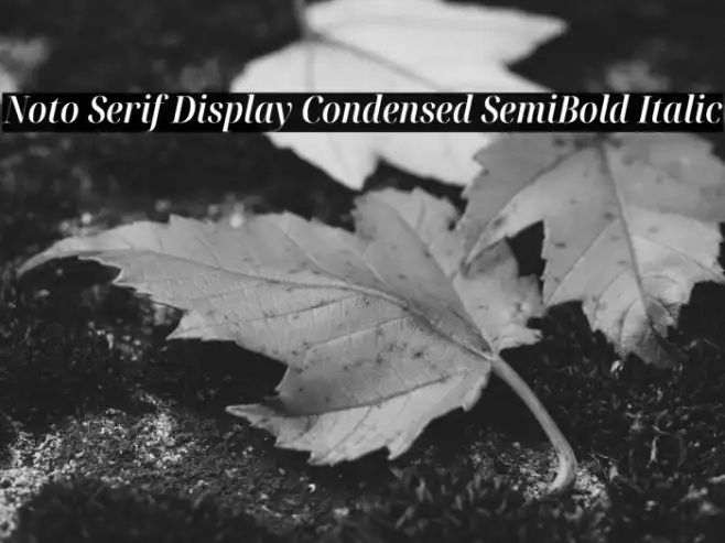 Noto Serif Display Condensed SemiBold Italic Example 1