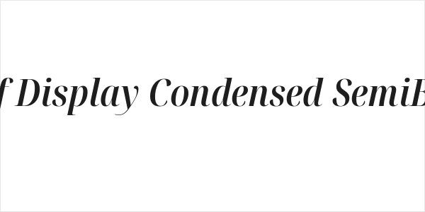 Noto Serif Display Condensed SemiBold Italic Logo