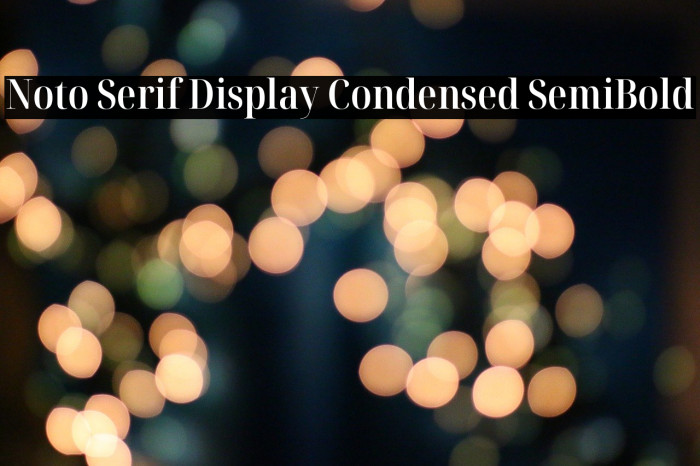 Noto Serif Display Condensed SemiBold Example 3