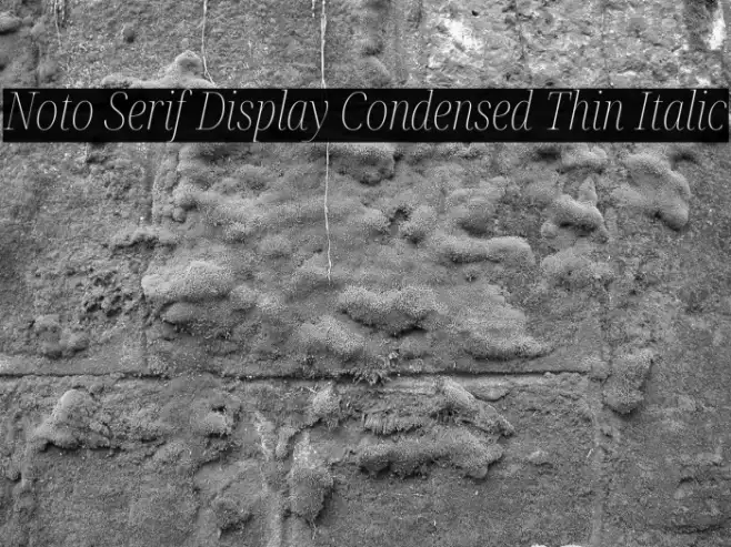 Noto Serif Display Condensed Thin Italic Example 2