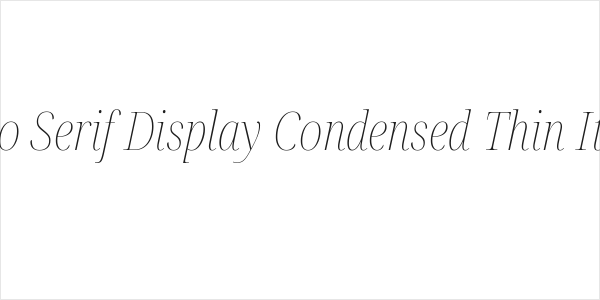Noto Serif Display Condensed Thin Italic Logo