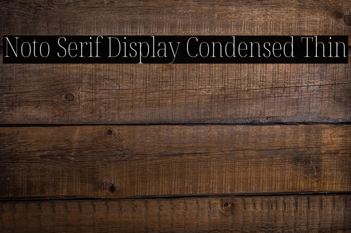 Noto Serif Display Condensed Thin Font examples
