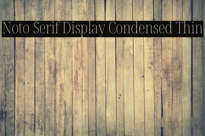 Noto Serif Display Condensed Thin Font examples