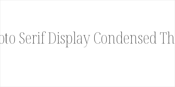 Noto Serif Display Condensed Thin Logo