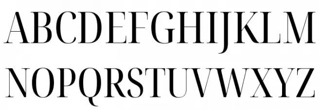 Noto Serif Display Condensed フォント 大文字