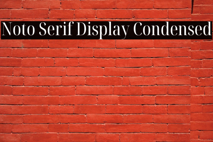Noto Serif Display Condensed Font examples