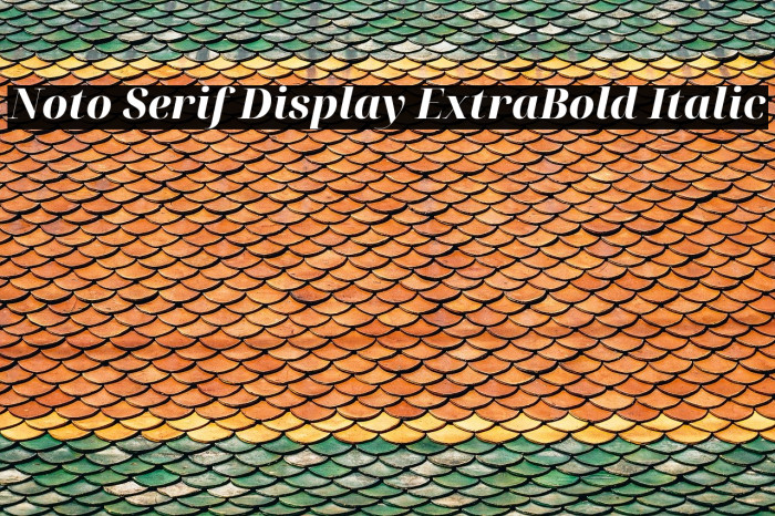 Noto Serif Display ExtraBold Italic Font examples
