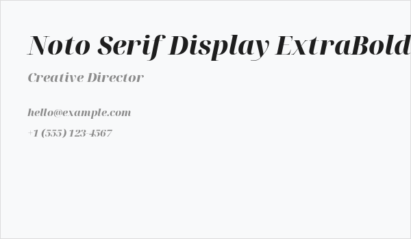 Noto Serif Display ExtraBold Italic Business Card