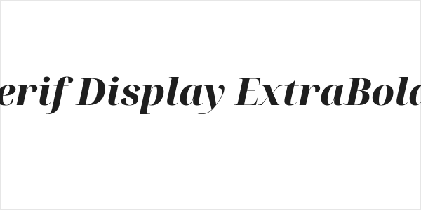 Noto Serif Display ExtraBold Italic Logo