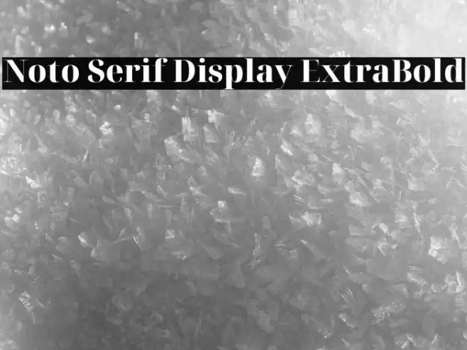 Noto Serif Display ExtraBold Font examples