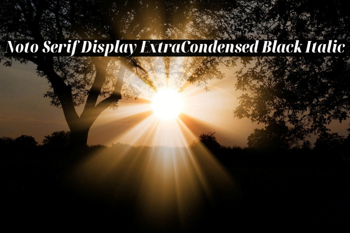 Noto Serif Display ExtraCondensed Black Italic Font examples